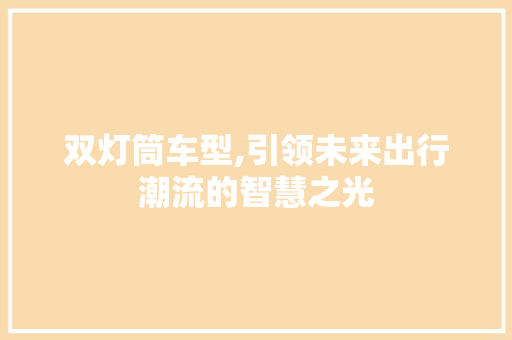 双灯筒车型,引领未来出行潮流的智慧之光