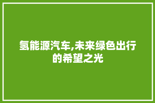 氢能源汽车,未来绿色出行的希望之光