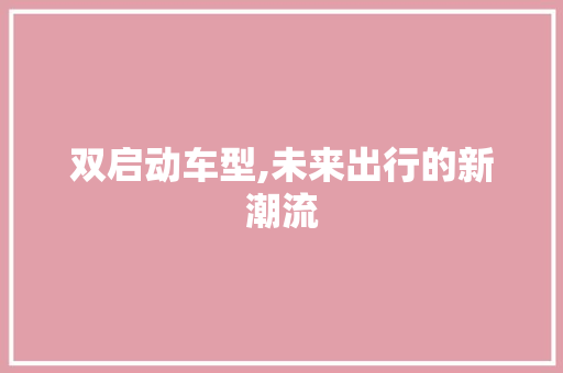 双启动车型,未来出行的新潮流
