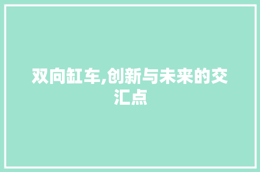 双向缸车,创新与未来的交汇点