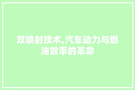 双喷射技术,汽车动力与燃油效率的革命