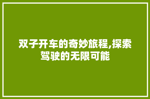 双子开车的奇妙旅程,探索驾驶的无限可能