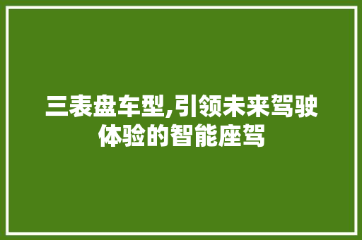 三表盘车型,引领未来驾驶体验的智能座驾