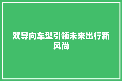 双导向车型引领未来出行新风尚