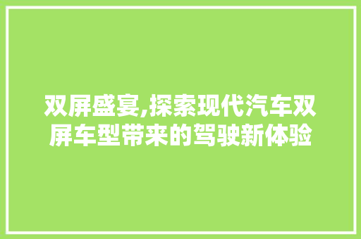 双屏盛宴,探索现代汽车双屏车型带来的驾驶新体验