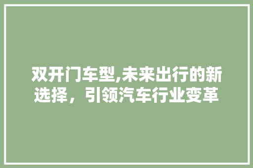 双开门车型,未来出行的新选择，引领汽车行业变革