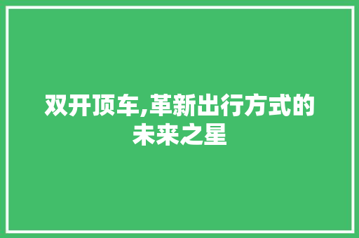 双开顶车,革新出行方式的未来之星