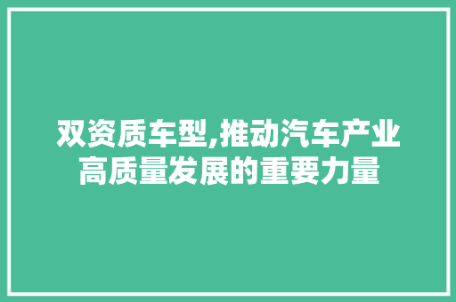双资质车型,推动汽车产业高质量发展的重要力量