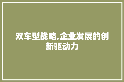 双车型战略,企业发展的创新驱动力
