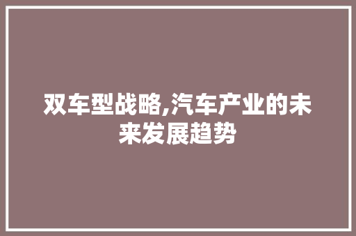 双车型战略,汽车产业的未来发展趋势