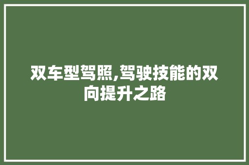 双车型驾照,驾驶技能的双向提升之路