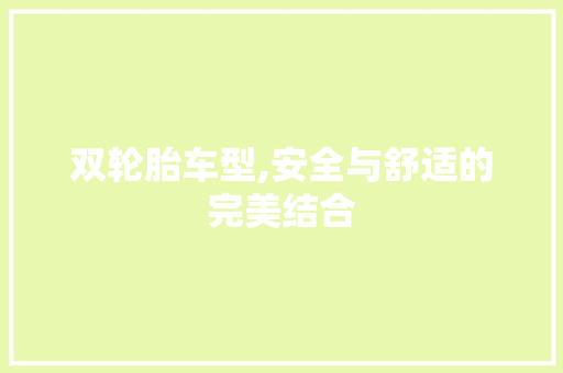 双轮胎车型,安全与舒适的完美结合