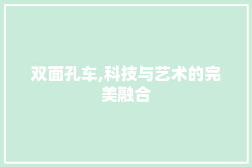 双面孔车,科技与艺术的完美融合