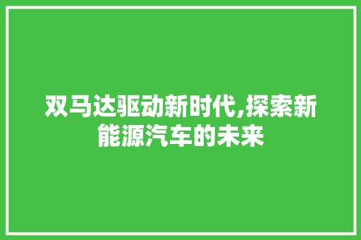 双马达驱动新时代,探索新能源汽车的未来