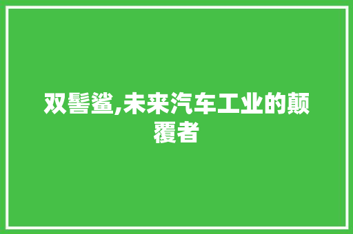 双髻鲨,未来汽车工业的颠覆者