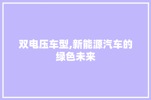 双电压车型,新能源汽车的绿色未来