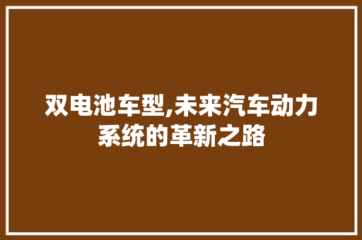 双电池车型,未来汽车动力系统的革新之路