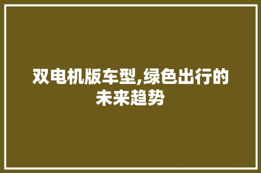 双电机版车型,绿色出行的未来趋势