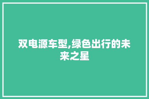 双电源车型,绿色出行的未来之星