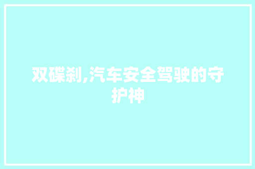 双碟刹,汽车安全驾驶的守护神