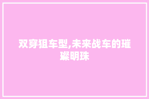 双穿狙车型,未来战车的璀璨明珠
