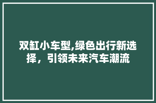 双缸小车型,绿色出行新选择，引领未来汽车潮流