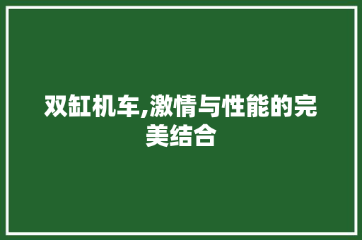 双缸机车,激情与性能的完美结合