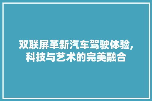 双联屏革新汽车驾驶体验,科技与艺术的完美融合