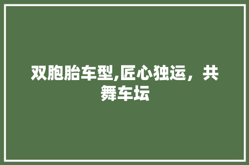双胞胎车型,匠心独运，共舞车坛