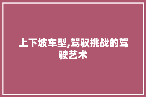 上下坡车型,驾驭挑战的驾驶艺术