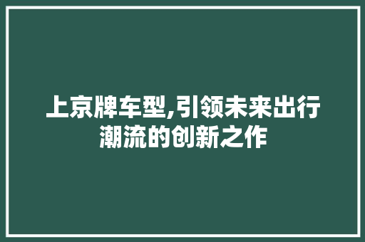 上京牌车型,引领未来出行潮流的创新之作