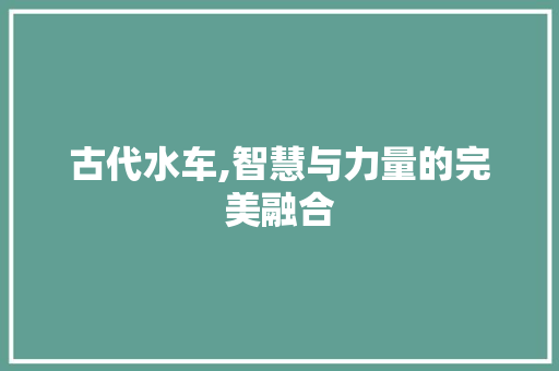 古代水车,智慧与力量的完美融合
