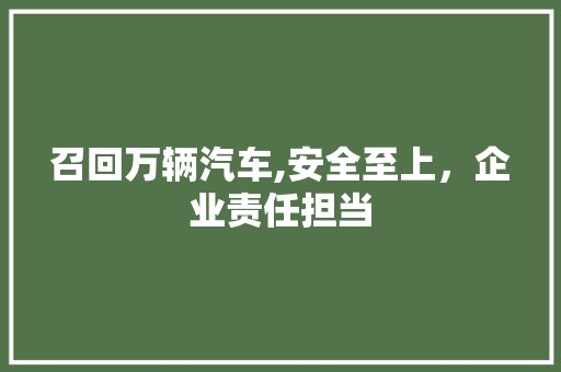 召回万辆汽车,安全至上，企业责任担当