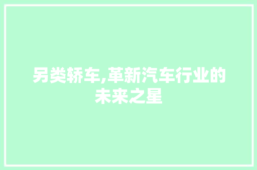 另类轿车,革新汽车行业的未来之星