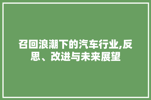 召回浪潮下的汽车行业,反思、改进与未来展望