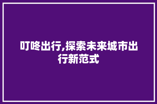叮咚出行,探索未来城市出行新范式