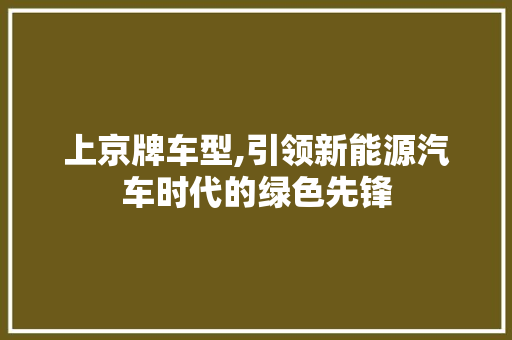 上京牌车型,引领新能源汽车时代的绿色先锋