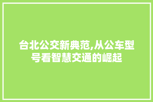 台北公交新典范,从公车型号看智慧交通的崛起