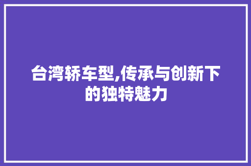 台湾轿车型,传承与创新下的独特魅力