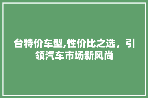 台特价车型,性价比之选，引领汽车市场新风尚