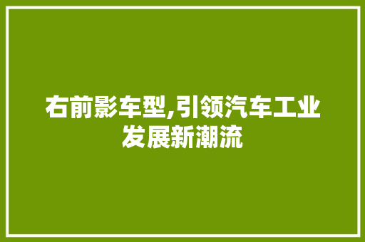 右前影车型,引领汽车工业发展新潮流