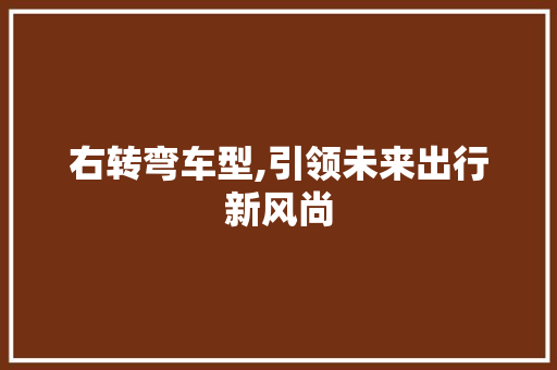 右转弯车型,引领未来出行新风尚