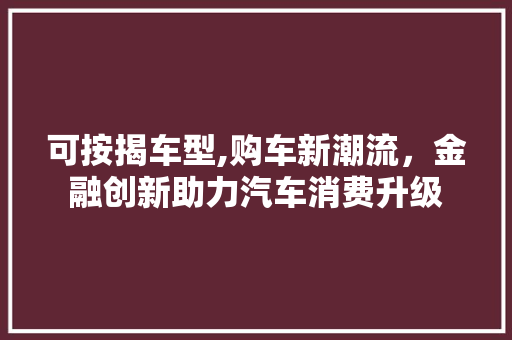 可按揭车型,购车新潮流，金融创新助力汽车消费升级