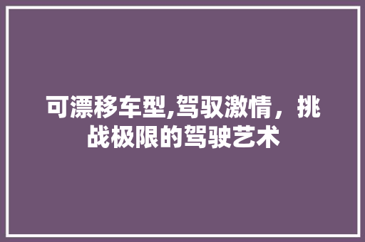 可漂移车型,驾驭激情，挑战极限的驾驶艺术