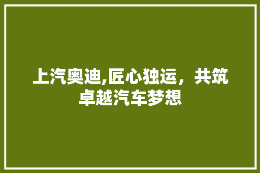 上汽奥迪,匠心独运，共筑卓越汽车梦想