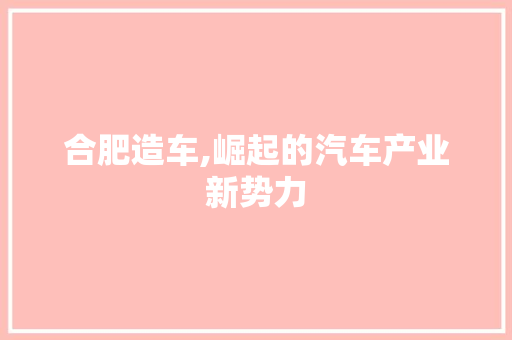 合肥造车,崛起的汽车产业新势力