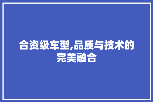合资级车型,品质与技术的完美融合