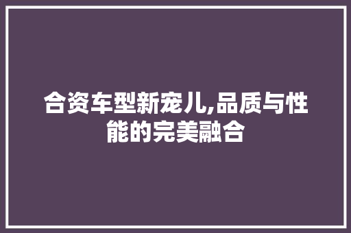 合资车型新宠儿,品质与性能的完美融合