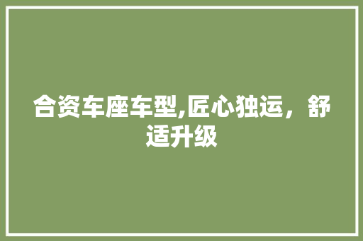 合资车座车型,匠心独运，舒适升级