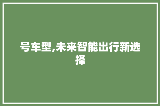 号车型,未来智能出行新选择